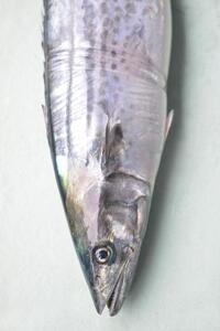 【讃岐三昧】玉藻(天ぷら6種類/計17枚、鰆のみそ漬け3切れ)