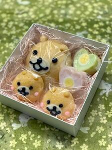 どうぶつのおやこ(3種類 計5枚)