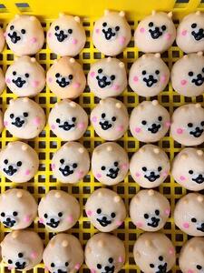 どうぶつのおやこ(3種類 計5枚)