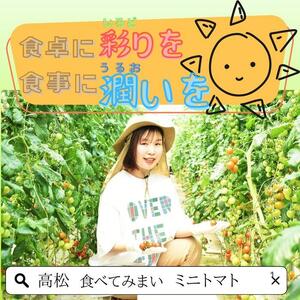 ミニトマト1.2kg (200g×6パック詰め)