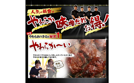 やわらかハラミ味噌だれ漬け2kg(200g×10)