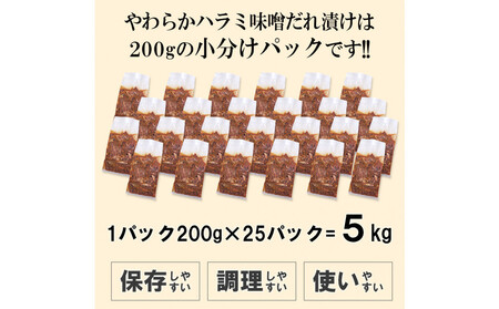 やわらかハラミ味噌だれ漬け5kg(200g×25)