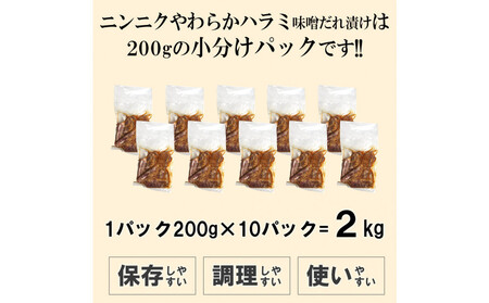 ガツンとにんにくやわらかハラミ味噌だれ漬け2kg(200g×10)