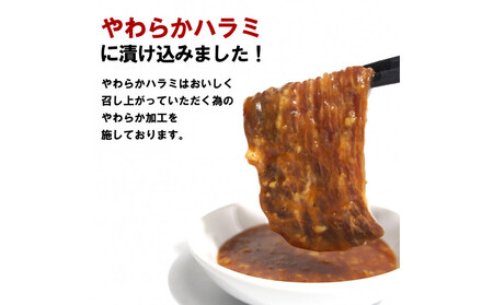 ガツンとにんにくやわらかハラミ味噌だれ漬け2kg(200g×10)