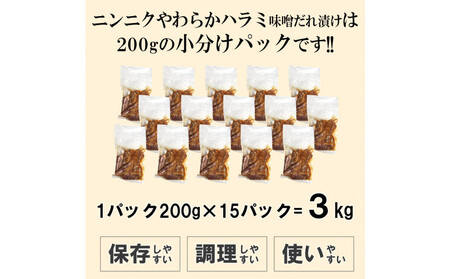ガツンとにんにくやわらかハラミ味噌だれ漬け3kg(200g×15)