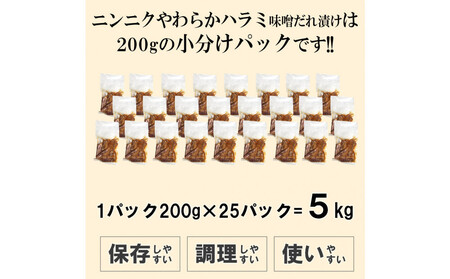 ガツンとにんにくやわらかハラミ味噌だれ漬け5kg(200g×25)