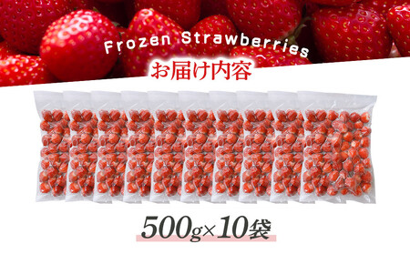 冷凍いちご(さぬきひめ)500g×10袋 | 冷凍いちご