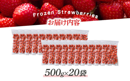 冷凍いちご(さぬきひめ)500g×20袋 | 冷凍いちご