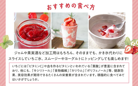 冷凍いちご(さぬきひめ)100g×12袋 | 冷凍いちご