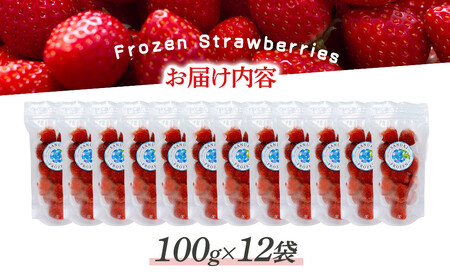 冷凍いちご(さぬきひめ)100g×12袋 | 冷凍いちご