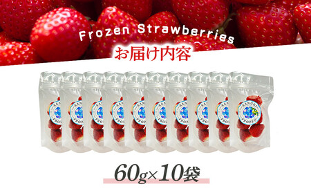 冷凍いちご(さぬきひめ)60g×10袋 | 冷凍いちご