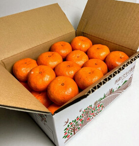 『2025年冬先行受付』香川オリジナル品種「紅みかん(小原紅早生)」2.5kg