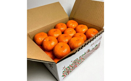 『2025年冬先行受付』香川オリジナル品種「紅みかん(小原紅早生)」2.5kg[のしシール付き]