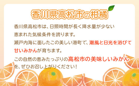 瀬戸内温州みかん(2L~Mサイズ混合)約5kg【2025年10月中旬~2026年1月下旬配送】