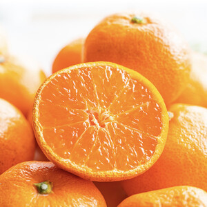 瀬戸内温州みかん(2L~Mサイズ混合)約5kg【2025年10月中旬~2026年1月下旬配送】