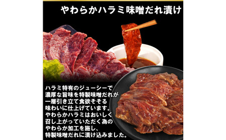 焼肉3種盛りセット(ハラミ・カルビ・マルチョウ)3kg  | 情熱ホルモン