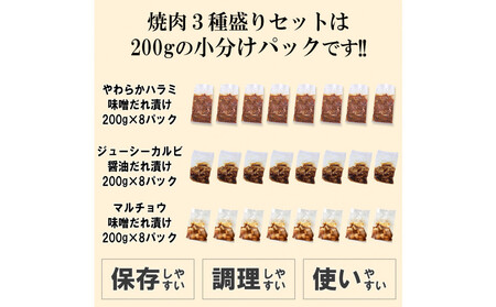 焼肉3種盛りセット(ハラミ・カルビ・マルチョウ)4.8kg | 情熱ホルモン