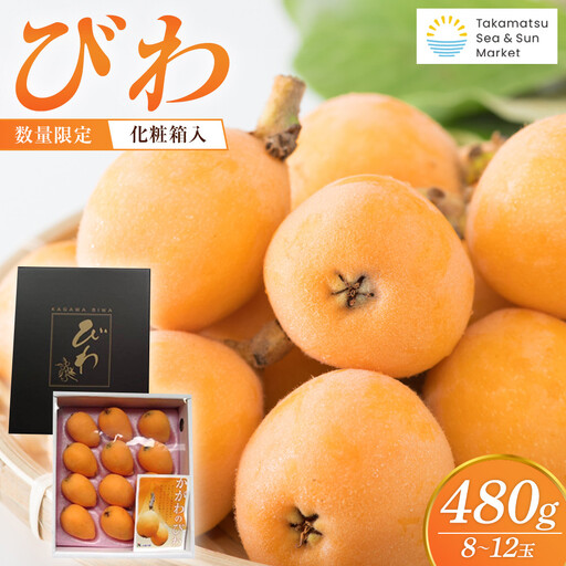 『数量限定』びわ　480ｇ化粧箱　8玉～12玉