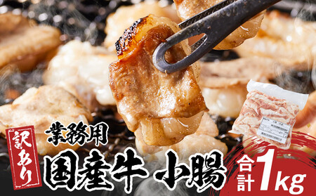 《業務用・訳アリ》国産牛 小腸 1kg | 小腸