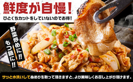 《業務用・訳アリ》国産牛　小腸　3kg