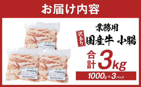 《業務用・訳アリ》国産牛　小腸　3kg