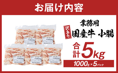 《業務用・訳アリ》国産牛　小腸　5kg