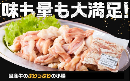 《完全業務用》国産牛　小腸　10kg