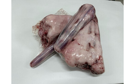 国産牛 テール 丸々1本　(約1～2kg) | テール