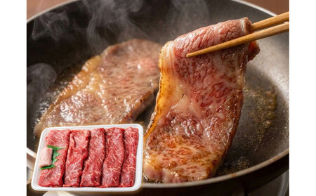 厳選黒毛和牛赤身スライス定期便6か月500g