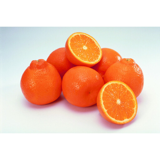 SANUKIFROZEN デコポン 60g×8袋