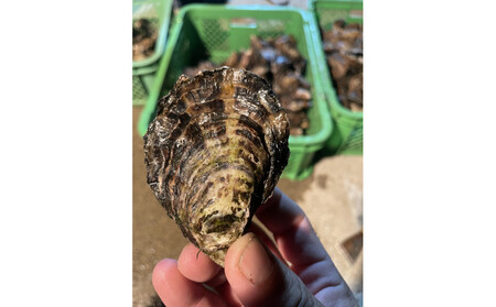 加熱用 牡蛎ムキ身1kg