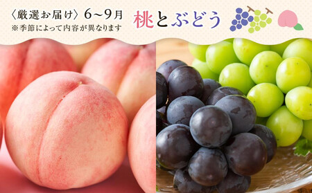 【お中元ギフト/熨斗対応】創業130余年！老舗果物店が見極めた、厳選フルーツ詰合せ♪大満足セット （5～8品種）