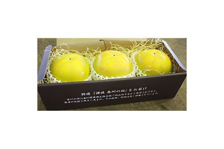 【限定企画3000セット・2021年9~10月発送】厳選大玉 太秋柿化粧箱 約800g【1104403】