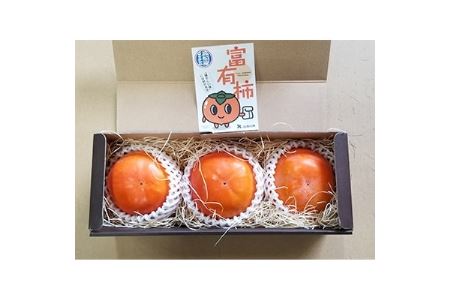 【限定企画5000セット・2021年10~12月発送】厳選大玉 富有柿化粧箱 約800g【1104405】