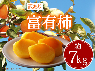 【感謝企画5000セット・2021年10~12月発送】訳あり 富有柿 約7kg【1104412】