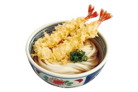 本場さぬき ゆでうどん 人前だし付き 香川県高松市 ふるさと納税サイト ふるなび