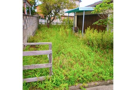 空き家のお庭除草・清掃サービス【1010905】