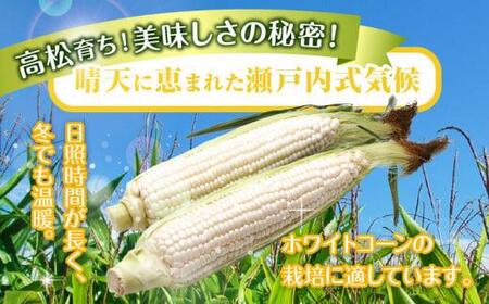 上品な甘さ 瀬戸内ホワイトコーン 約2.5kg【2024年6月中旬～2024年7月中旬配送】【T006-141】