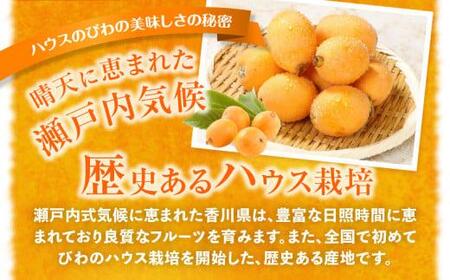 ハウスびわ 約1kg【2025-3月中旬～2025-5月上旬配送】