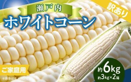 訳あり ご家庭用 瀬戸内ホワイトコーン 約6kg【2024年6月中旬～2024年7月中旬配送】【T006-142】