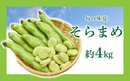 旬の味覚 そらまめ 約4kg【2025年4月下旬～2025年5月下旬配送】