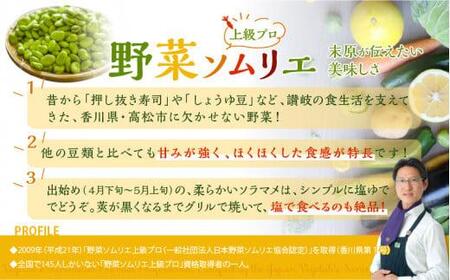 旬の味覚 そらまめ 約4kg【2025年4月下旬～2025年5月下旬配送】