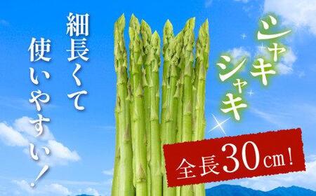 柔らかさと甘みが際立つ さぬきのめざめセミロング30cm(Lサイズ以上) 約1kg【2024年3月上旬～2024年6月下旬配送】【T006-294】