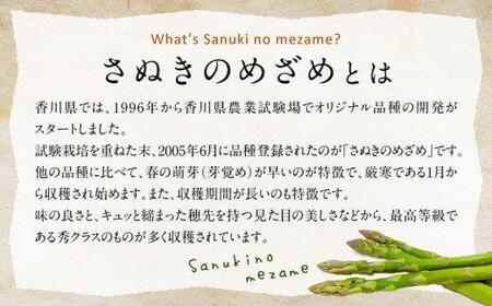 柔らかさと甘みが際立つ さぬきのめざめセミロング30cm(Lサイズ以上) 約1kg【2024年3月上旬～2024年6月下旬配送】【T006-294】