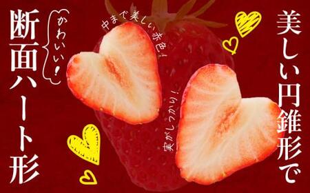 希少ないちご ケーキ用 女峰いちご 約2.2kg【2026年1月上旬～2026年5月下旬配送】