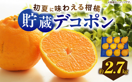 初夏に味わえる柑橘 貯蔵デコポン 約2.7kg【2024年5月中旬～2024年6月下旬配送】【T006-050】