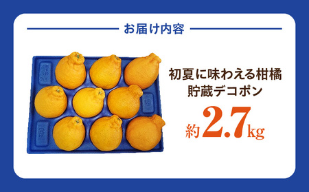 初夏に味わえる柑橘 貯蔵デコポン 約2.7kg【2024年5月中旬～2024年6月下旬配送】【T006-050】