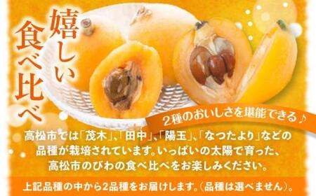 びわの食べ比べセット 約2kg【2025-5月上旬～2025-6月中旬配送】