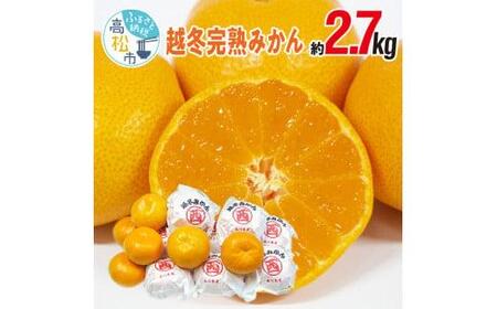 越冬完熟みかん 約2.7kg【2025年1月中旬～2025年1月下旬配送】