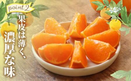 ハウスせとか　約2.8kg【2026年1月下旬～2026年2月下旬配送】